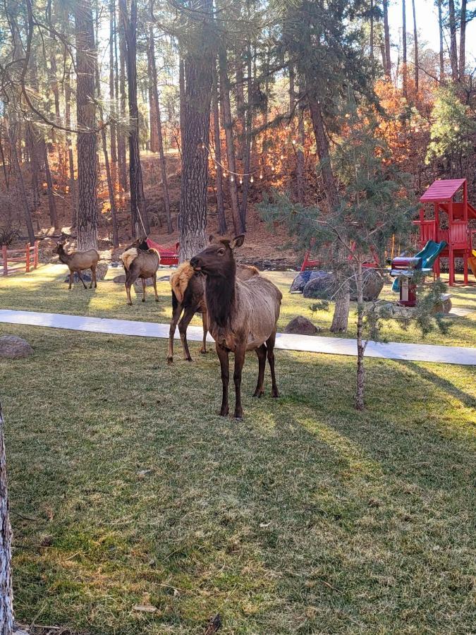 Sierra Blanca Cabins Otel Ruidoso Dış mekan fotoğraf